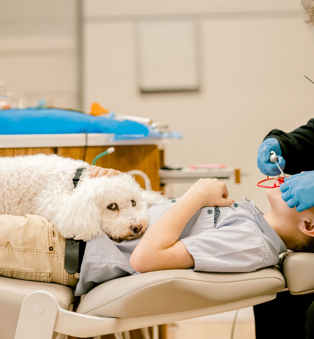Lawless Orthodontics